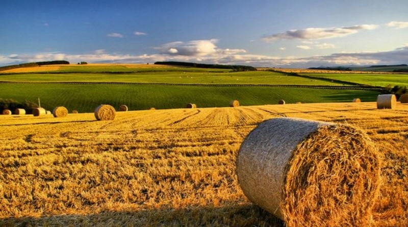 Caltagirone – Martedì, al municipio, convegno pubblico su: “La tracciabilità nelle filiere agroalimentari”