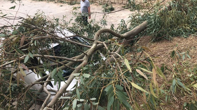 I danni del vento –  Grossi rami su auto posteggiate in via Trigona [VIDEO]