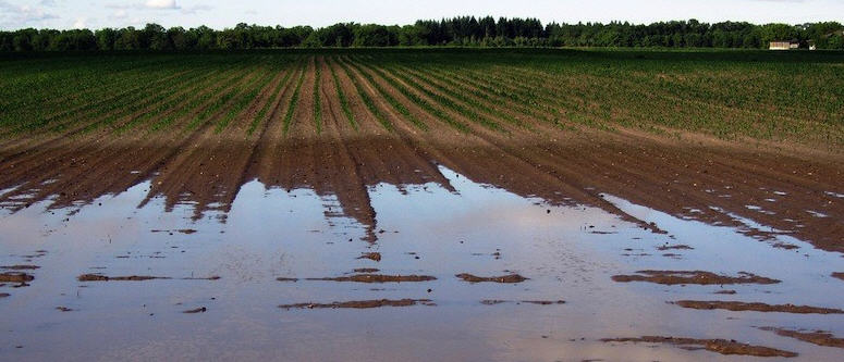 Agricoltura e danni causati dal maltempo – CIA: Valorizzare i consorzi di bonifica