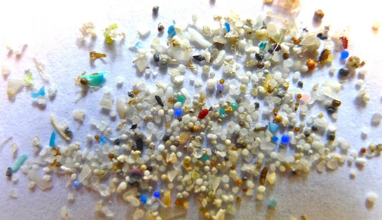 Aumenta l’allarme per le microplastiche: rilevate anche nell’uomo