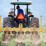 agricoltura