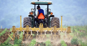 agricoltura