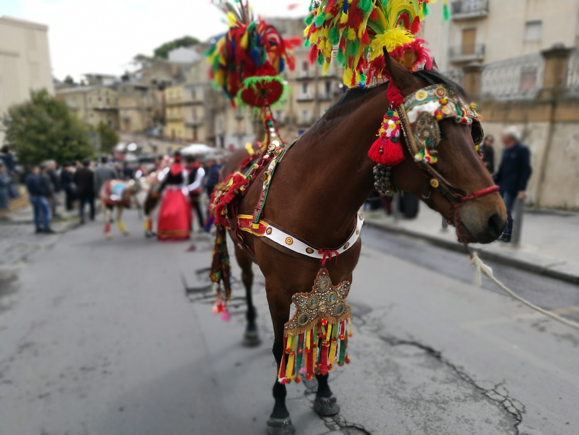 Nuove regolamentazioni per la sicurezza durante la processione di San Filippo D’Agira a Piazza Armerina