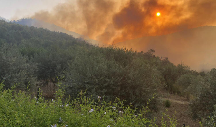 Piazza Armerina: un altro rogo nelle campagne solleva nuove preoccupazioni sulla sicurezza del territorio