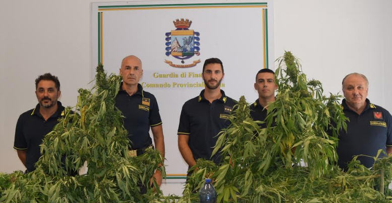 La Guardia di Finanza di Enna individua e sequestra una piantagione di marijuana