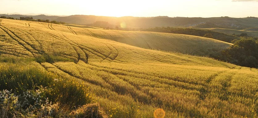 Il webinar “Per una visione di lungo periodo nelle zone rurali” organizzato dal Gal Rocca di Cerere