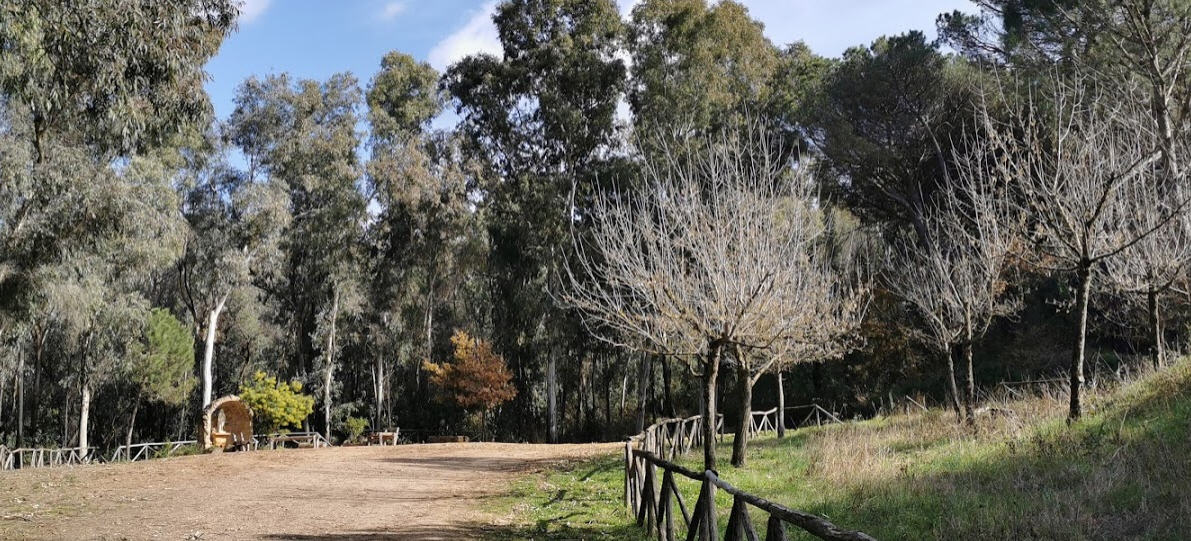 Piazza Armerina – Esercitazione militare nella zona del bosco Bellia. Divieto di transito pedonale e veicolare