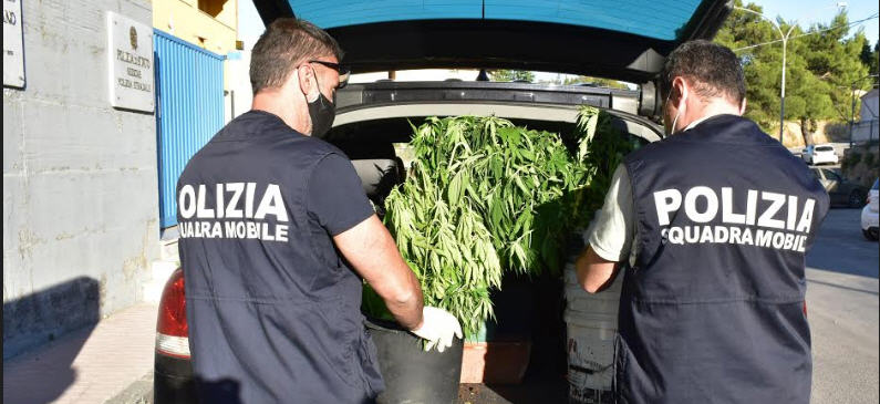 Piazza Armerina – La Polizia di Stato denuncia due persone per coltivazione di marijuana