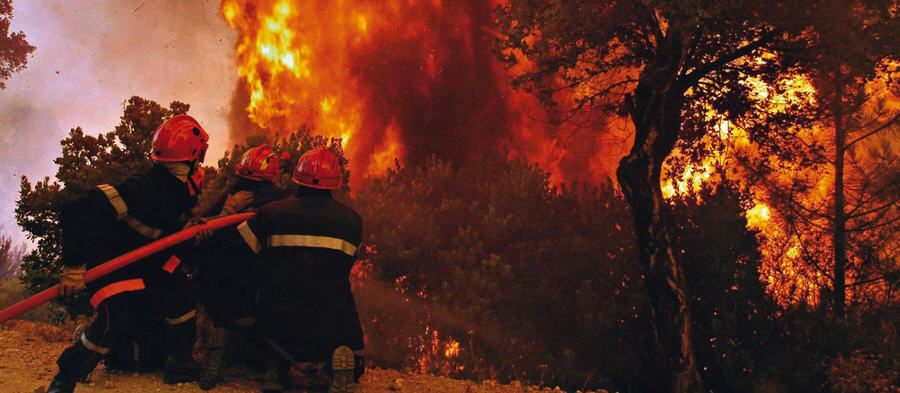 Campagna Antincendio 2020. Riunione operativa in Prefettura