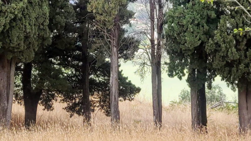 Pergusa sul podio nel concorso green di Legambiente e Vallelata