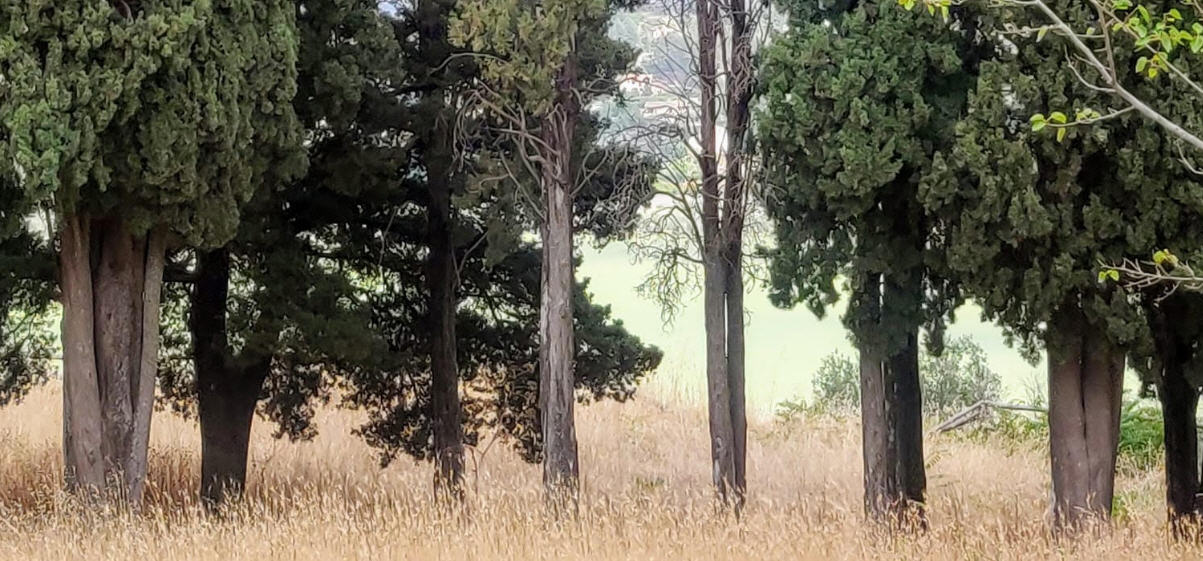 Pergusa sul podio nel concorso green di Legambiente e Vallelata