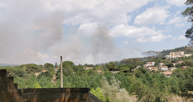 Piazza Armerina – Ancora un incendio di vaste dimensioni all’interno del bosco Bellia