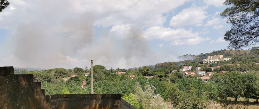 Piazza Armerina – Ancora un incendio di vaste dimensioni all’interno del bosco Bellia