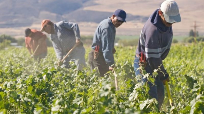 Sanatoria badanti, colf e braccianti: definito il contributo forfettario per la regolarizzazione.