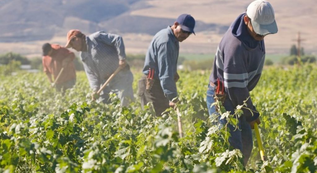 Sanatoria badanti, colf e braccianti: definito il contributo forfettario per la regolarizzazione.