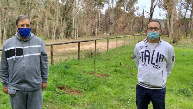 Rotaract Club Piazza Armerina: donati 11 alberi alla comunità piantumati nei pressi dell’ingresso al bosco Bellia