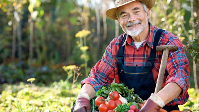 In arrivo da Bruxelles 660 milioni di euro per l’agricoltura siciliana