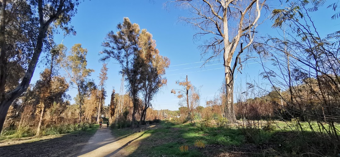 Rispetto per il “Percorso sportivo Bellia”: motocrossisti mettono a rischio l’incolumità degli sportivi. Un albero rischia di abbattersi sul sentiero