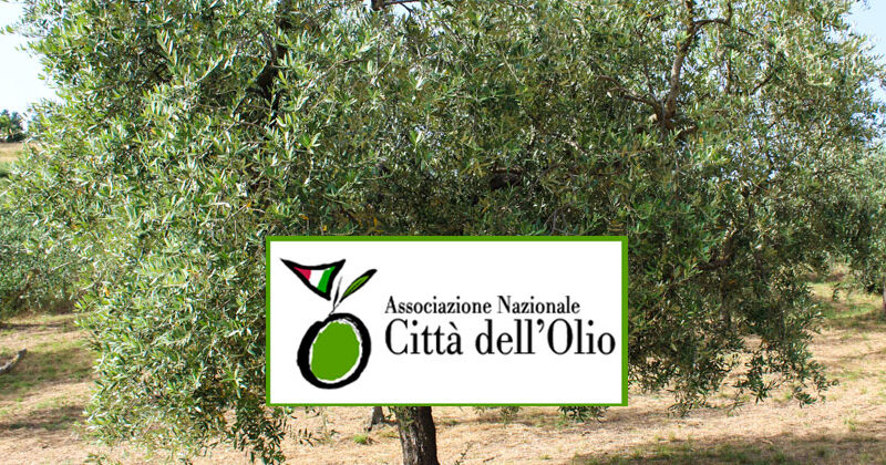 Il comune di Troina aderisce all’associazione nazionale “Città dell’olio”