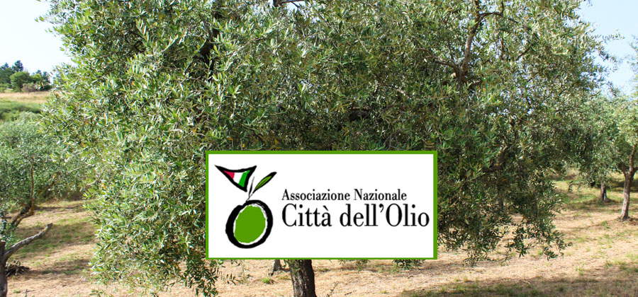 Il comune di Troina aderisce all’associazione nazionale “Città dell’olio”