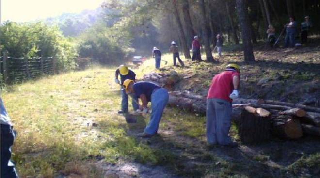 Due giorni di proteste per i forestali in Sicilia. Oggi in assessorato, domani davanti le Prefetture