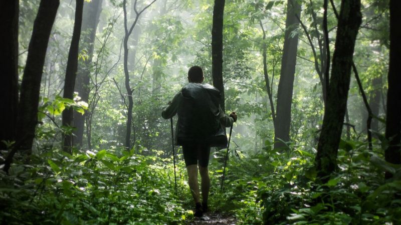 Passeggiata ludico-motoria all’interno della riserva naturale di Pergusa