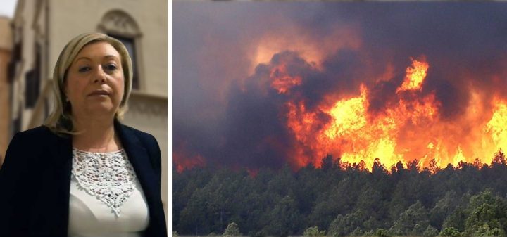 Incendi, L’On Luisa Lantieri Lantieri:“ la Regione non chieda lo stato di calamità nell’ennese ma intervenga direttamente”