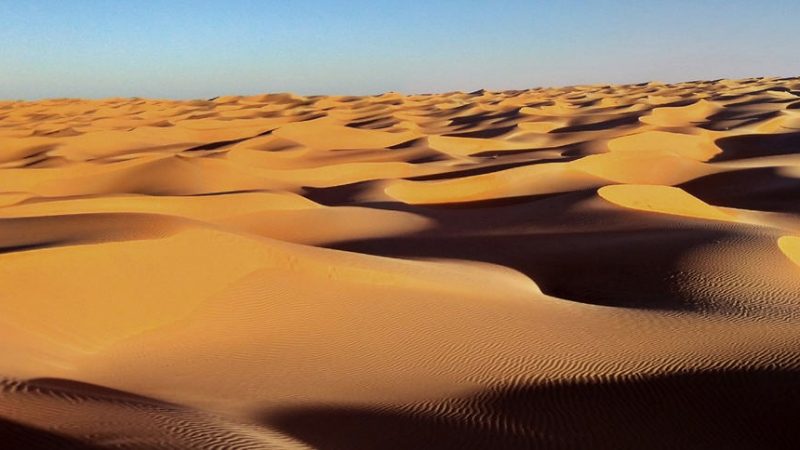 L’associazione Luciano Lama promuove nello Stato del Sahara Occidentale il progetto “Un orto nel deserto”