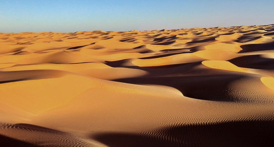 L’associazione Luciano Lama promuove nello Stato del Sahara Occidentale il progetto “Un orto nel deserto”