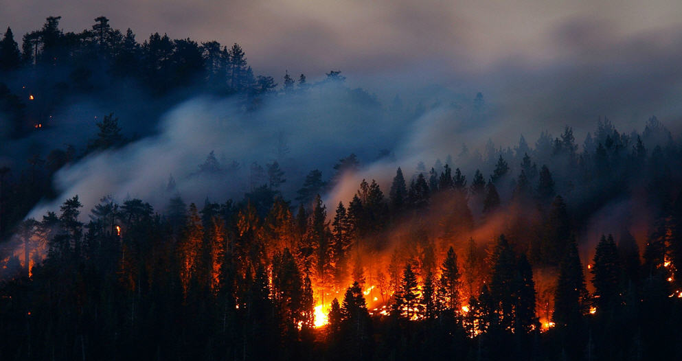 Emergenza incendi in Sicilia: Roma dice no, Schifani in rivolta