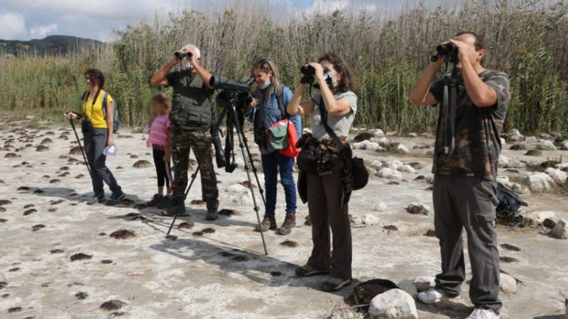 Eurobirdwatch 2021 al lago di Pergusa.