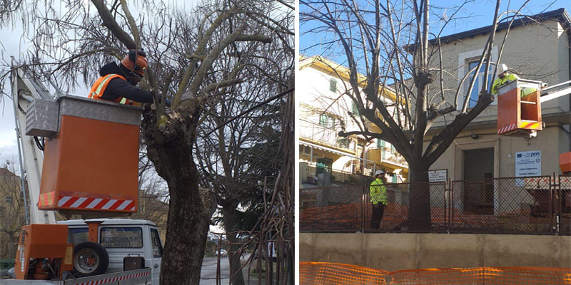 Piazza Armerina – 750 alberi tutti da potare