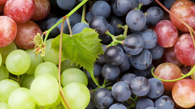 L’Uva, un alimento importante nella dieta che fluidifica il sangue