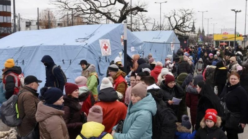 Piazza Armerina – raccolta di beni primari per l’Ucraina, organizzata da PD, GD e FdS