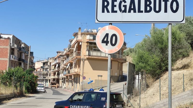 Regalbuto: i carabinieri catturano un presunto piromane