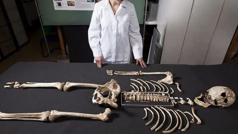 In Spagna il fossile umano (forse) più antico d’Europa.