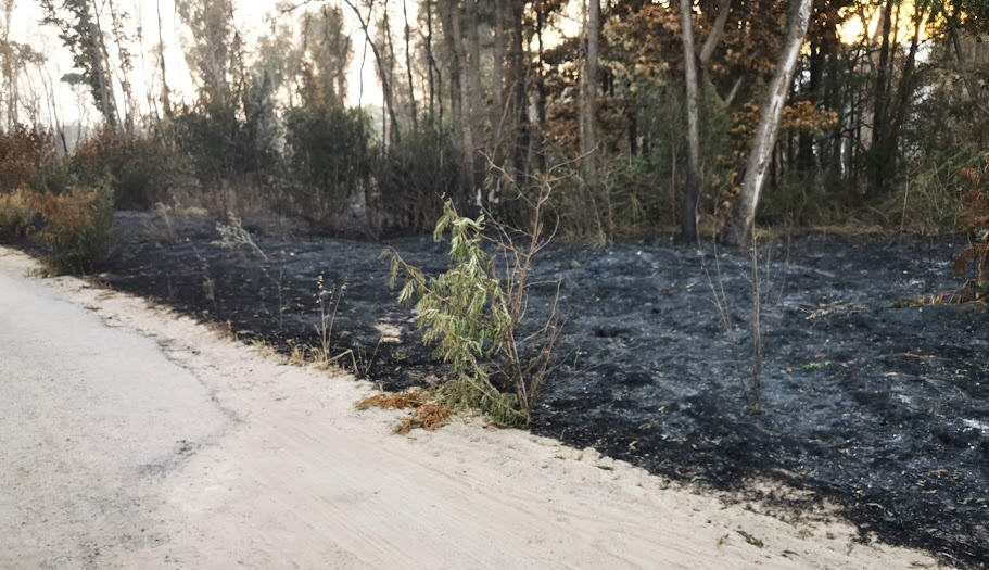 Pericolosi percorrerli dopo gli incendi, chiusi i percorsi all’interno dei boschi Bellia