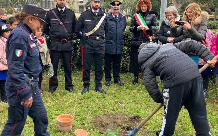 A gagliano castelferratro ed agira, l’albero di falcone e i carabinieri a presidio della legalità