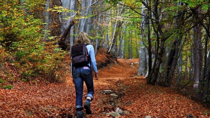 Camminare veloce: i benefici per la salute. I consigli per una buona camminata