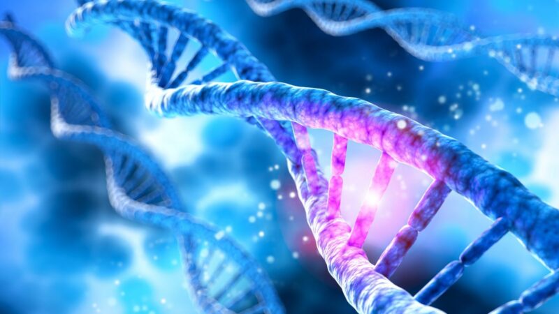 Una nuova terapia contro il cancro: modificare il Dna delle cellule immunitarie