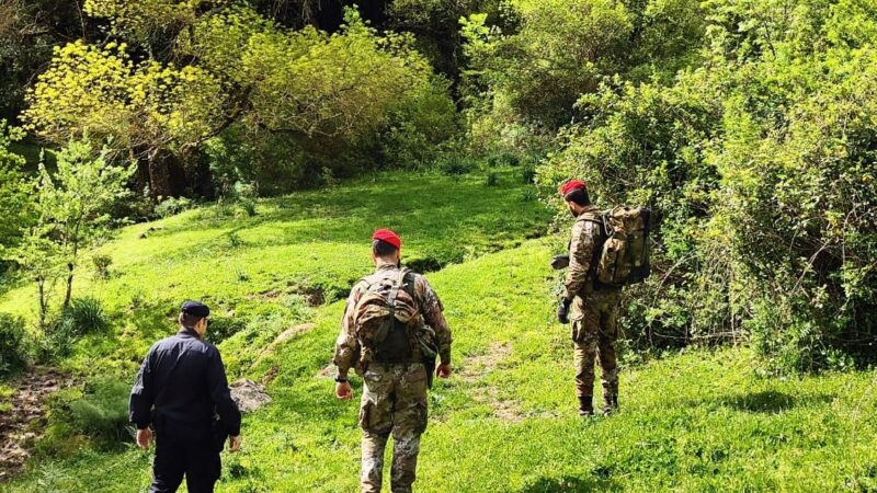 Colti dai Carabinieri durante una battuta di caccia all’interno del Parco dei Nebrodi