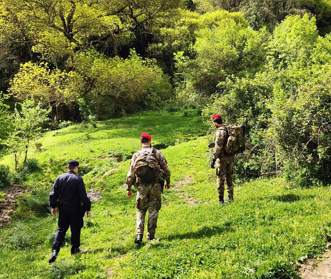 Colti dai Carabinieri durante una battuta di caccia all’interno del Parco dei Nebrodi