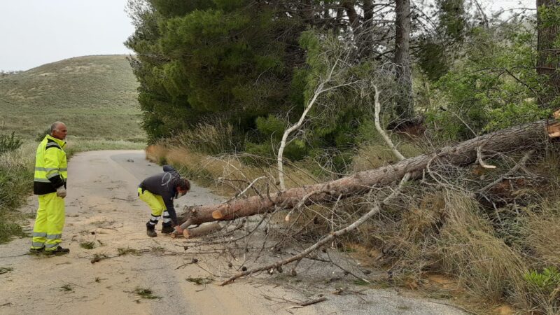 Tanti gli interventi sulle strade provinciali. Istituito il gruppo per il superamento delle emergenze