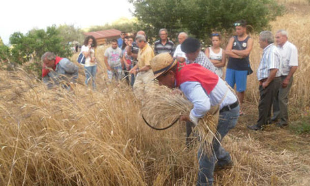 Un fine settimana di sagre e feste in Sicilia tra tradizione e gastronomia