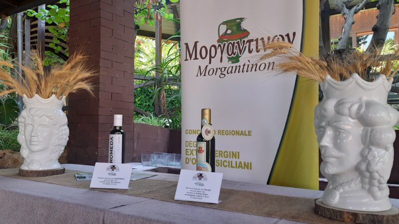 Aidone – Concorso Morgantìnon: un viaggio gastronomico attraverso l’olio extravergine d’oliva siciliano
