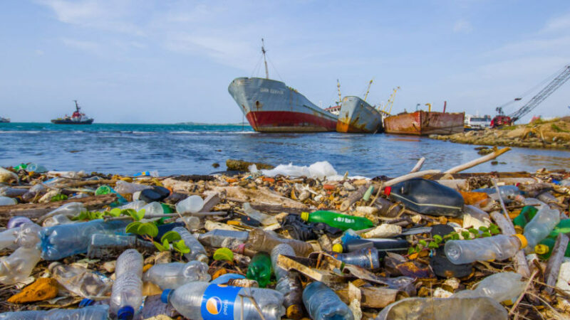 Super enzima: una nuova speranza nella lotta contro l’inquinamento da plastica