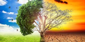 cambiamenti climatici