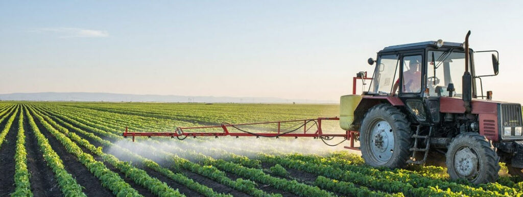 Agricoltura, la Regione approva le graduatorie definitive: 56 milioni per la filiera agroalimentare siciliana