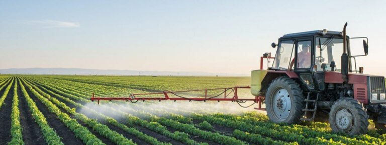 Agricoltura, la Regione approva le graduatorie definitive: 56 milioni per la filiera agroalimentare siciliana