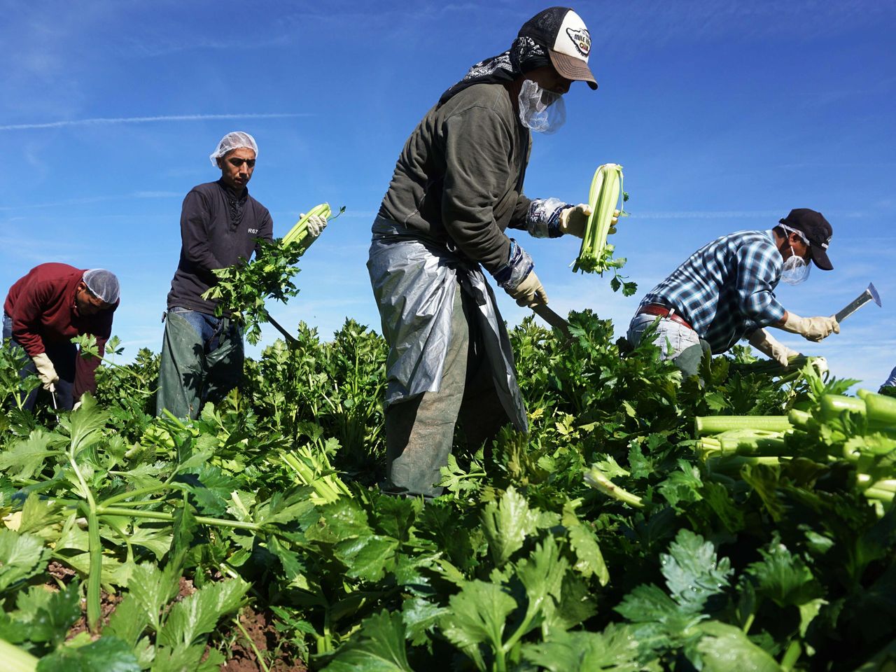 Cisl: lo Sfruttamento dei Lavoratori è una piaga indegna